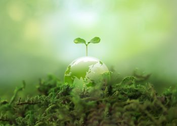 Why Are ESG Funds Underperforming—And Should You Care?