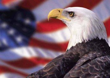 Tracking the Wage-Price Spiral in Real Time: How Supermarket Shelf Data Predicts the Fed’s Hawk-Dove Turning Point